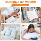 Throw Pillows Insert, 18'' x 18'' Set of 2, Decorative for Couch, Sofa or Bed with Premium Down Alternative Filled, White - Grand Goldman