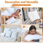 Throw Pillows Insert, 18'' x 18'' Set of 2, Decorative for Couch, Sofa or Bed with Premium Down Alternative Filled, White - Grand Goldman