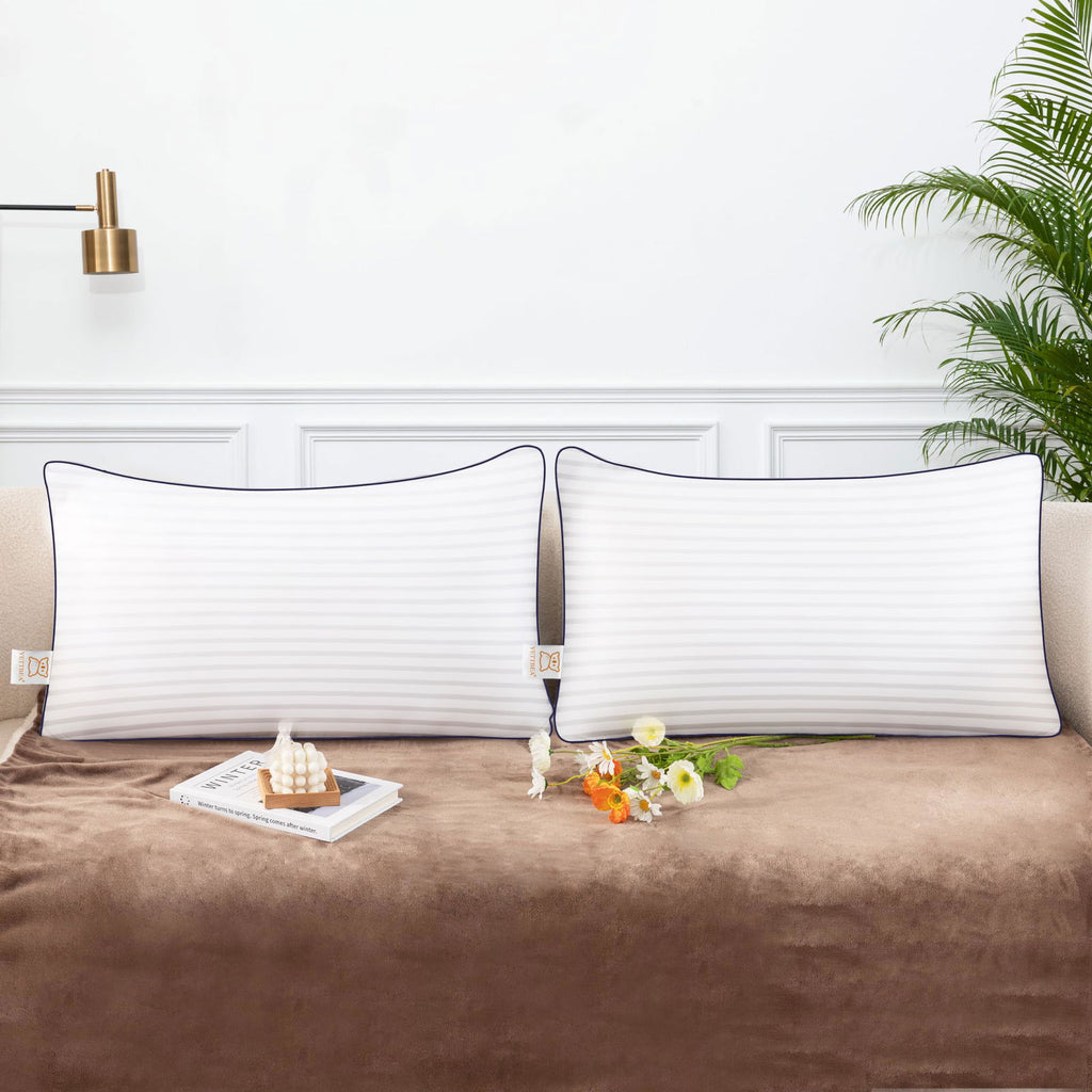 Throw Pillows Insert, 18'' x 18'' Set of 2, Decorative for Couch, Sofa or Bed with Premium Down Alternative Filled, White - Grand Goldman