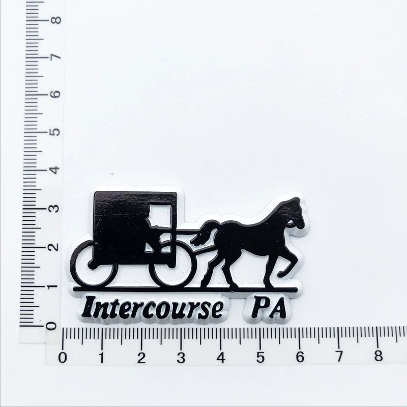 U.S. states refrigerator magnet OHIO Georgia Alaska Illinois Michigan Hawaii California Oregon tourist souvenir PVC fridge decor - Grand Goldman