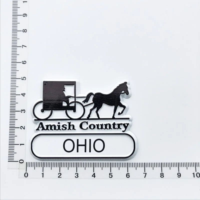 U.S. states refrigerator magnet OHIO Georgia Alaska Illinois Michigan Hawaii California Oregon tourist souvenir PVC fridge decor - Grand Goldman