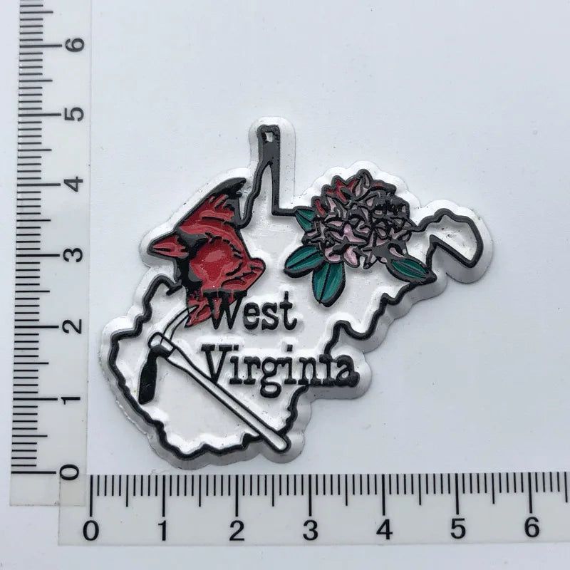 U.S. states refrigerator magnet OHIO Georgia Alaska Illinois Michigan Hawaii California Oregon tourist souvenir PVC fridge decor - Grand Goldman