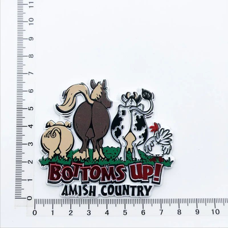 U.S. states refrigerator magnet OHIO Georgia Alaska Illinois Michigan Hawaii California Oregon tourist souvenir PVC fridge decor - Grand Goldman