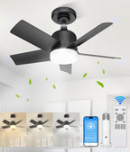 VOLISUN Socket Fan Light with Remote, Socket Ceiling Fan with Dimmable Led Light Bulb, 3CCT, 1500 Lumen Light Socket Fan, Screw in Small Ceiling Fan for Bedroom, Kitchen, Living Room, Garage(Black) - Grand Goldman