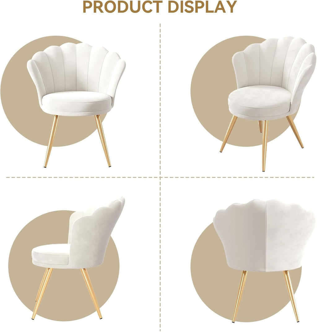 Velvet Accent Chair with Gold Metal Legs, Vanity Chair for Makeup Room, Upholstered Guest Chair for Living Room, Side Chair for Bedroom, White - Grand Goldman