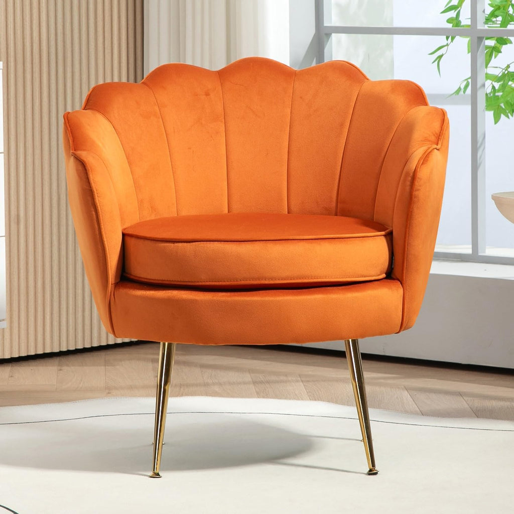 Velvet Barrel Accent Chair with Scalloped Silhouette and Gold Metal Legs, Decorative Piece Suitable for Traditional, Modern, and Contemporary Spaces, Black - Grand Goldman