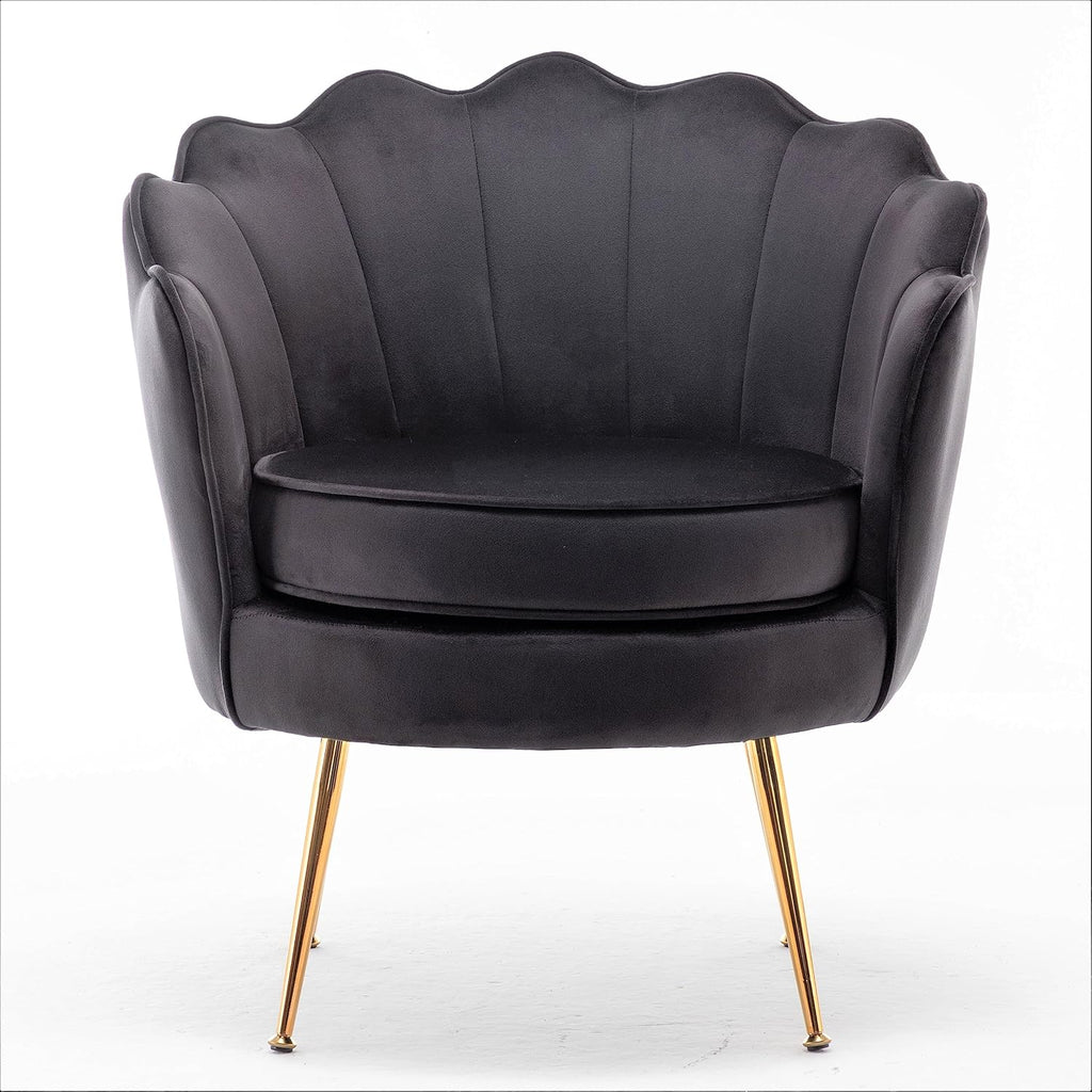 Velvet Barrel Accent Chair with Scalloped Silhouette and Gold Metal Legs, Decorative Piece Suitable for Traditional, Modern, and Contemporary Spaces, Black - Grand Goldman