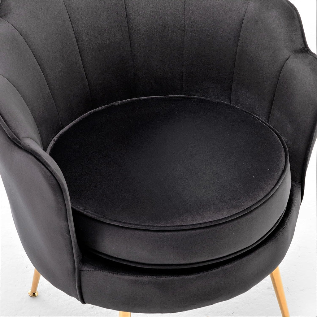 Velvet Barrel Accent Chair with Scalloped Silhouette and Gold Metal Legs, Decorative Piece Suitable for Traditional, Modern, and Contemporary Spaces, Black - Grand Goldman