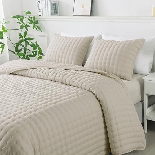 WDCOZY White Queen Size Quilt Bedding Sets with Pillow Shams, Lightweight Soft Bedspread Coverlet, Quilted Blanket Thin Comforter Bed Cover, All Season Summer Spring, 3 Pieces, 90x90 inches - Grand Goldman