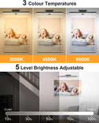 WILLED 3W Picture Lights for Wall, Rechargeable Battery Operated Picture Light, Wireless Wall Light with Remote, Dimmable & Timer Art Lighting for Paintings Wireless, Magnetic Gallery Light, Black - Grand Goldman