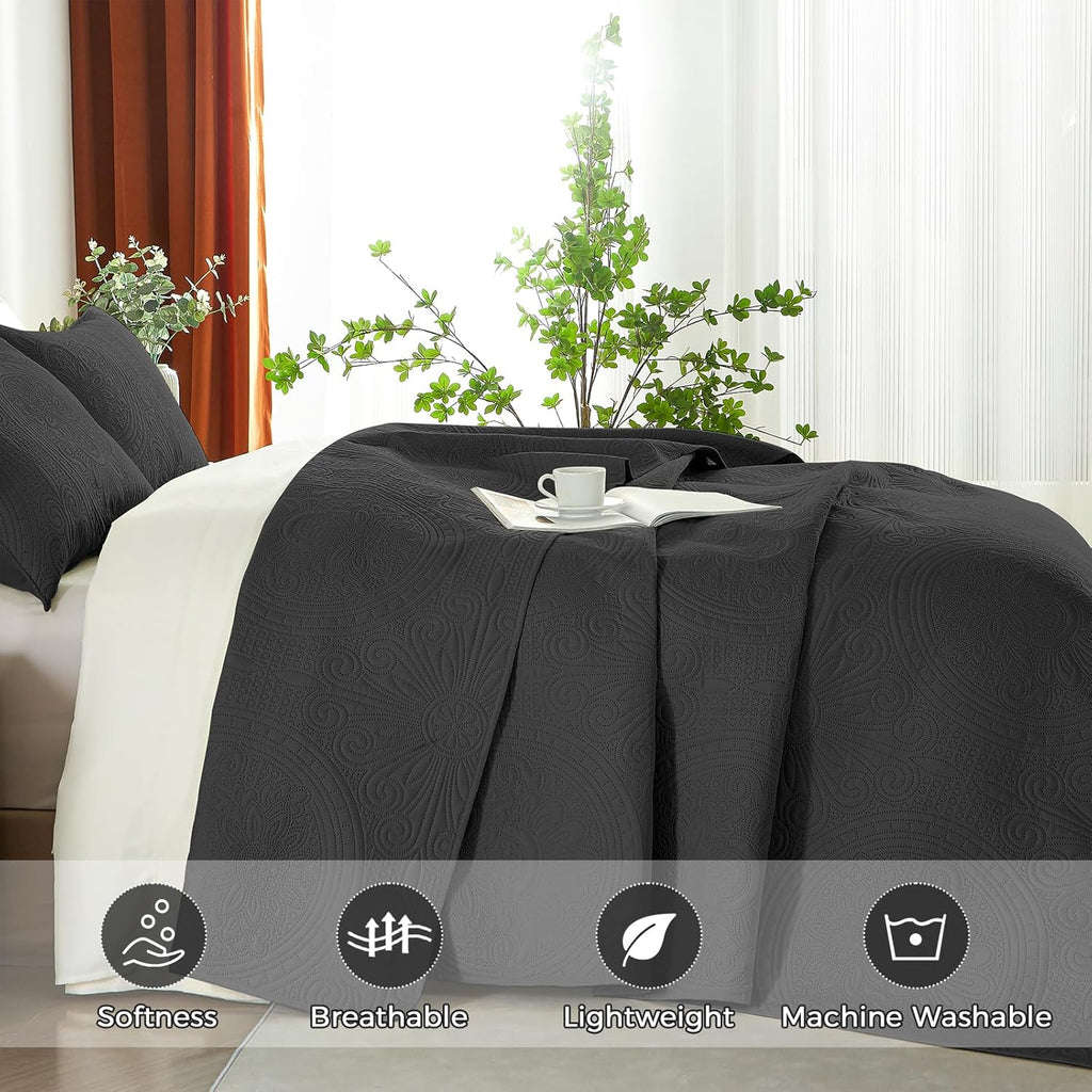 WURUIBO Black Full/Queen Quilt Bedding Set, 3 Pieces Lightweight Bedspreads with Pillow Shams, Microfiber Modern Thin Coverlet, Summer Quilted Comforter for All Season (1 Quilt, 2 Shams) - Grand Goldman