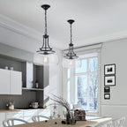 WUZUPS Chandelier Rustic Farmhouse Industrial Round Ceiling Pendant LED Light Fixture with Clear Glass Shades for Dining Room Kitchen Island Foyer Entryway, H 17" x W 13.4", E26 Base, Black - Grand Goldman