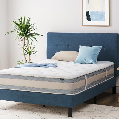 ZINUS 6 Inch Spring Sensation Hybrid Mattress [New Version], Medium Firm Feel, Fiberglass Free, Youth and Guest Bedroom, Mattress in A Box, Twin - Grand Goldman