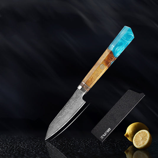 Ensemble de cuisine couteau couteau de cuisine en acier damas couteau de cuisine couteau de Chef couteau Santoku couteau japonais outil de cuisine