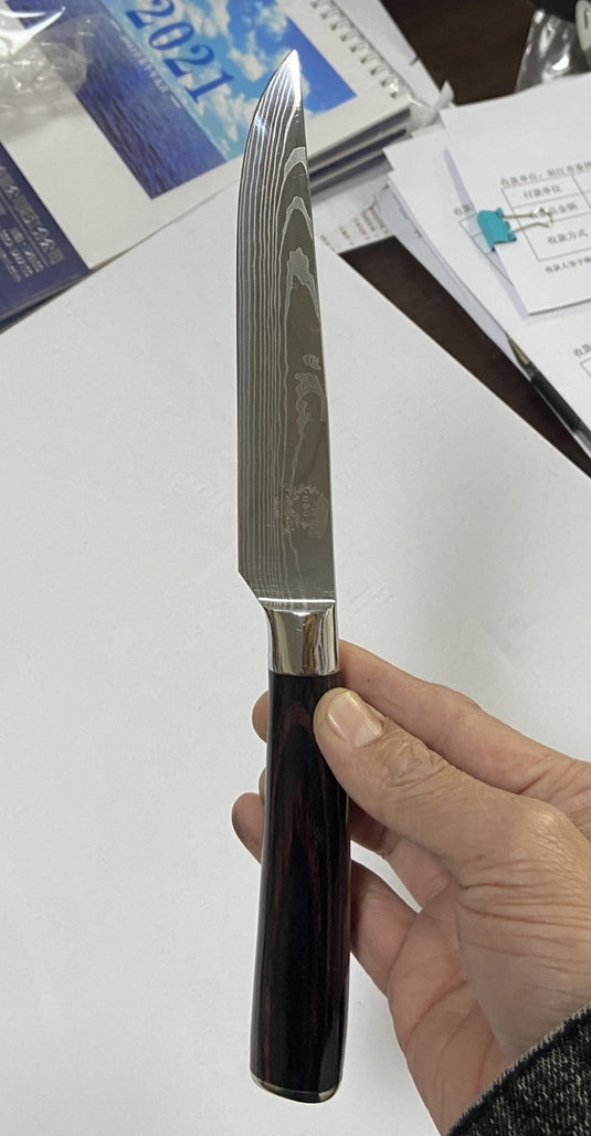 Color Wooden Handle Steak Knife Stainless Steel Western Kitchen Knives Kitchen Fruit Knife